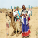 Captivating Culture: 