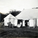 Captivating History: 