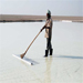 Fascinating Rann: 