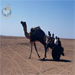 Fascinating Rann: 