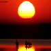 	Sunrise at LRK with Pelicans