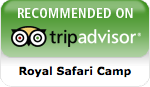Trip Advisor